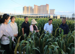 內(nèi)蒙古農(nóng)牧業(yè)科學(xué)院農(nóng)作物研究與發(fā)展